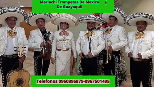 Mariachi en Guayaquil Trompetas de México